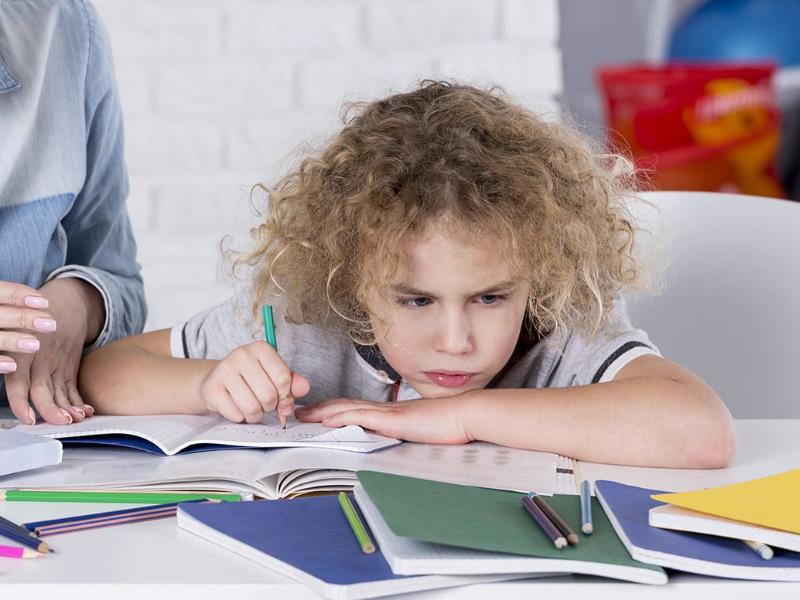 Özel Öğrenme Güçlüğü Destek Eğt. Birimi (Disleksi)